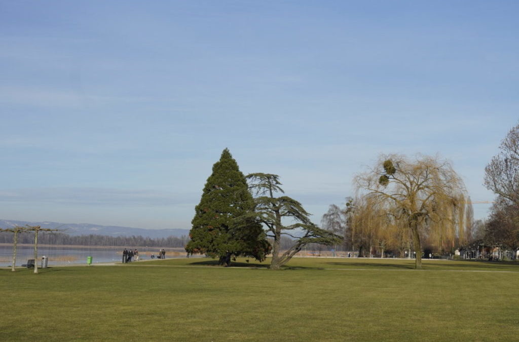 Der Schwingklub Kerzers lädt zum Schwingfest auf der Pantschau