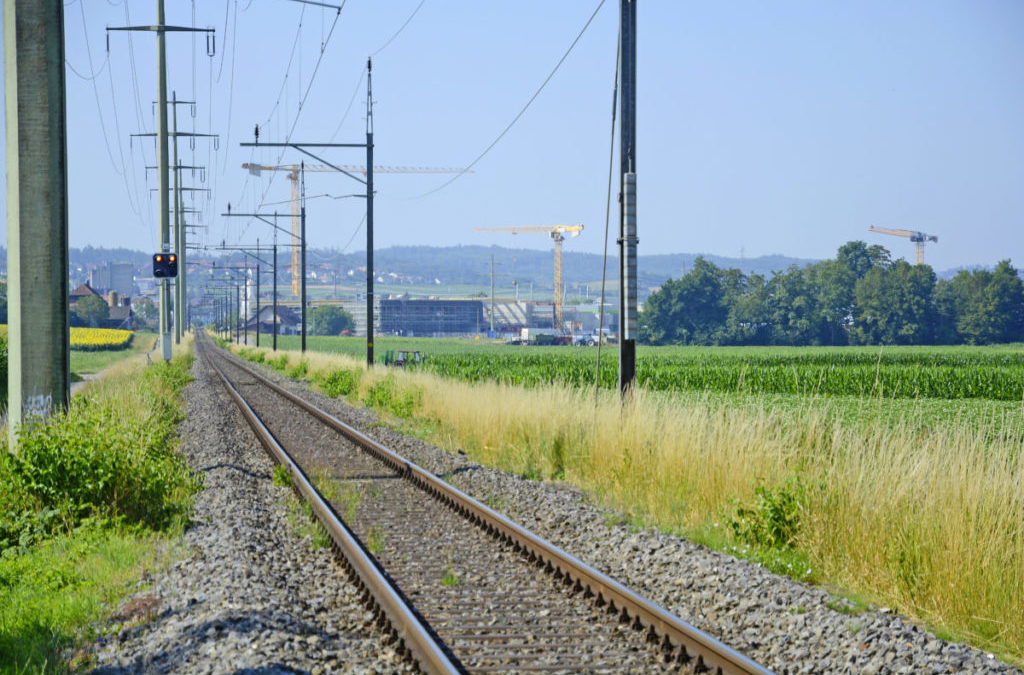 Die Umfahrungsstrasse passt nicht allen