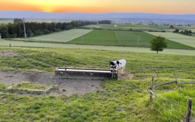 Mehrkosten wegen Baueinsprache