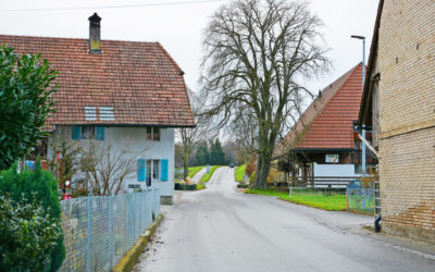 Der Dorfeingang wird entschleunigt