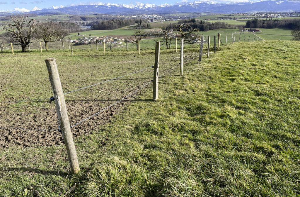 Energiepark steht im Gegenwind