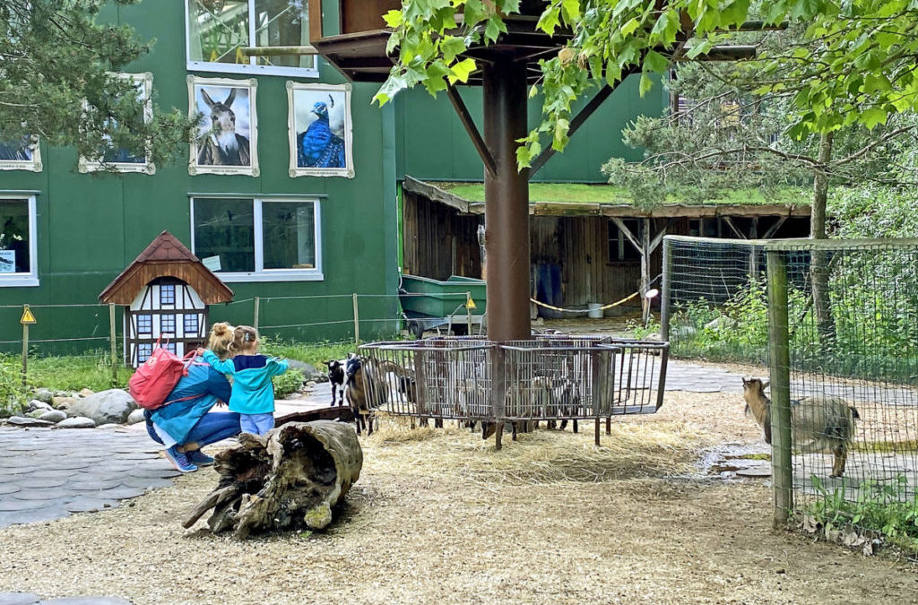 Die Zoos haben wieder geöffnet