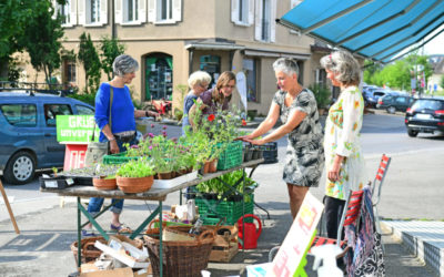 Tauschen und über die Natur staunen