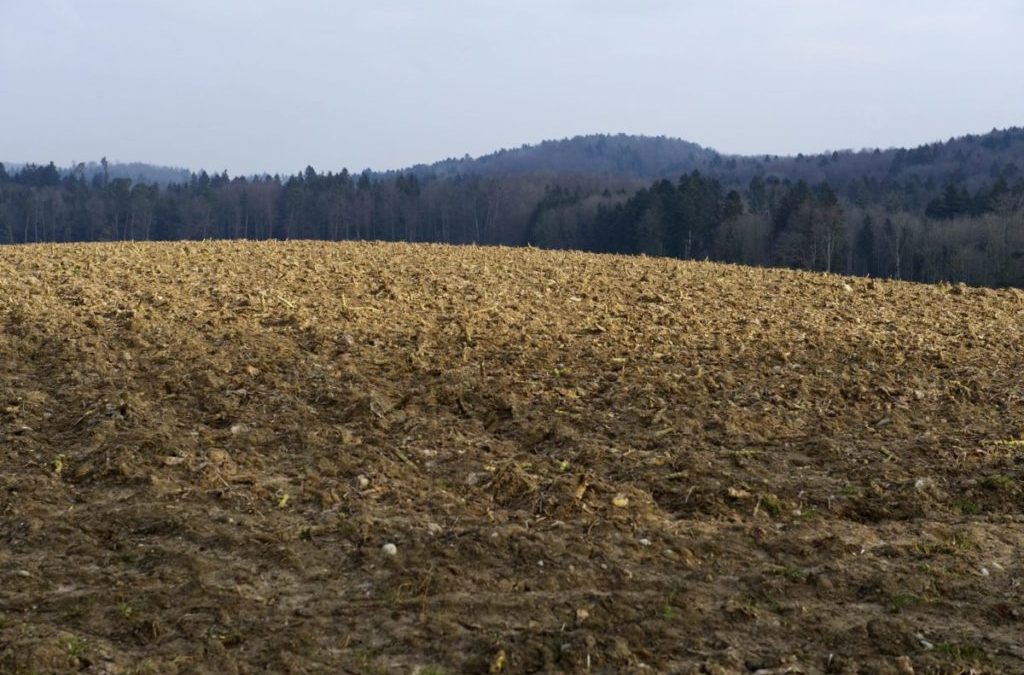 Gemeinderat will keinen grösseren Perimeter für den Kiesabbau