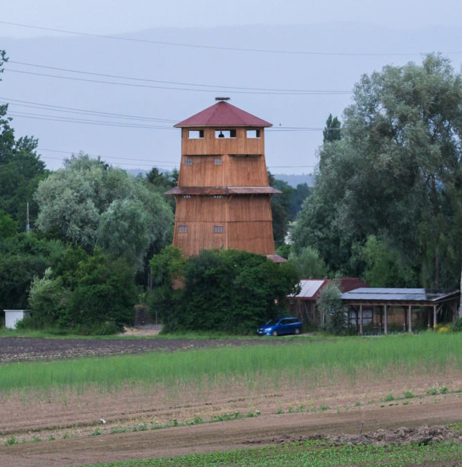 Ein weiterer Meilensteinfür das Projekt Papiliorama 2030+