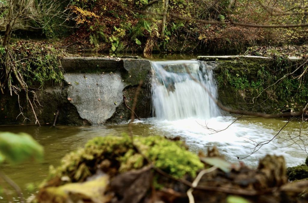 Nächste Etappe beim Hochwasserschutz steht an