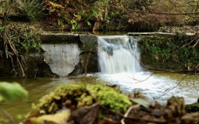 Nächste Etappe beim Hochwasserschutz steht an